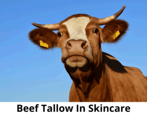 Beef Tallow In Skincare